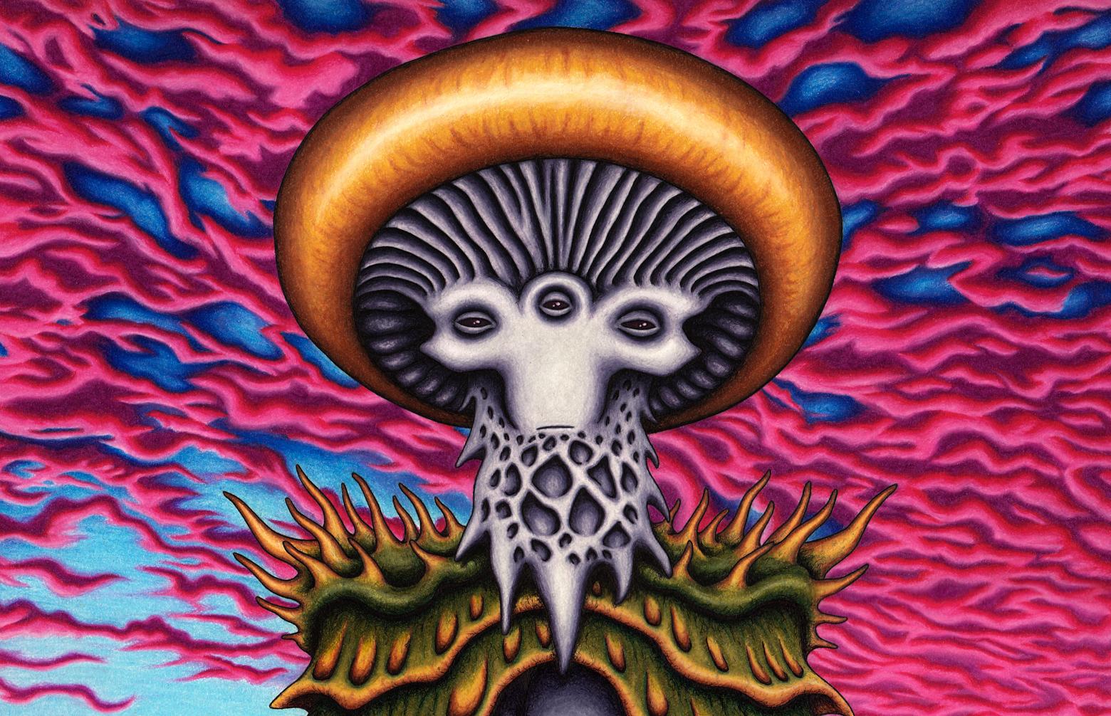Mushroom Man by Brock Dallman